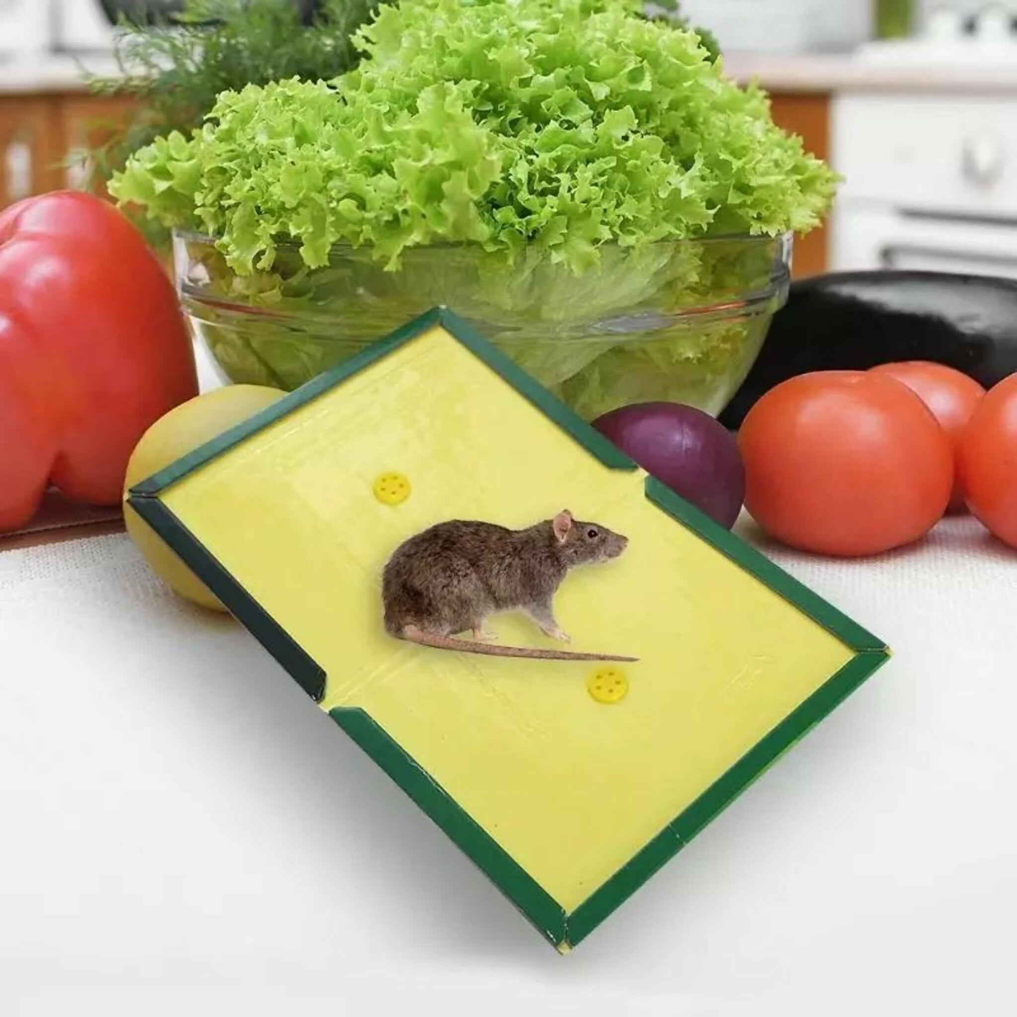 Reusable Expert Mouse & Rat Glue Trap