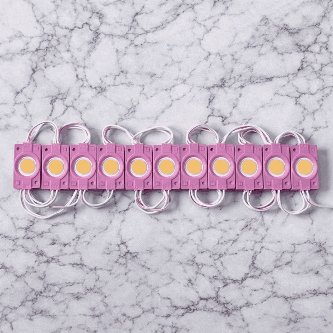 Waterproof Blue LED Coin Module Lights for Signage