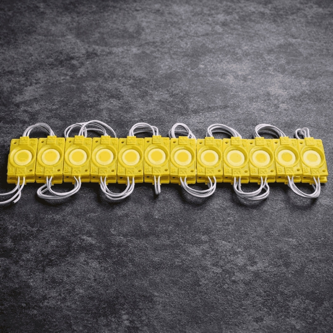Waterproof Blue LED Coin Module Lights for Signage