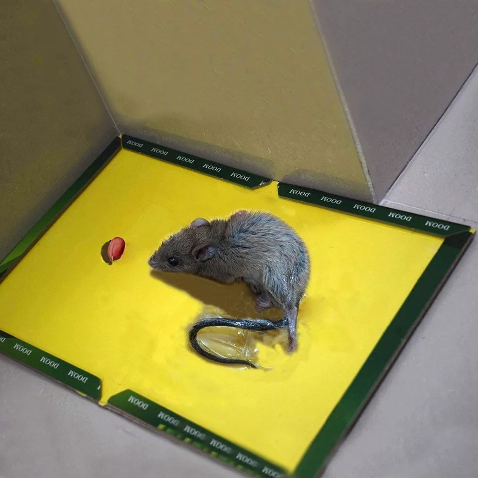Glue Trap, Heavy Duty Sticky, for Mouse Rat and Insect Catcher