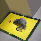 Trap, Foldable Mouse Glue, Strong Adhesive Pest