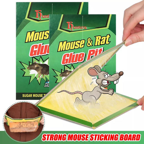 Glue Trap, Heavy Duty Sticky, for Mouse Rat and Insect Catcher