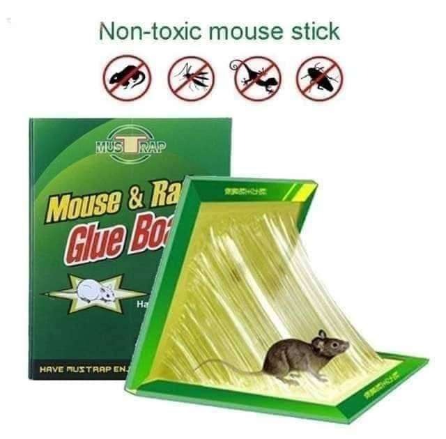 Glue Trap, Heavy Duty Sticky, for Mouse Rat and Insect Catcher