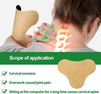 Wormwood Extract Body Patches for Neck and Joint Comfort