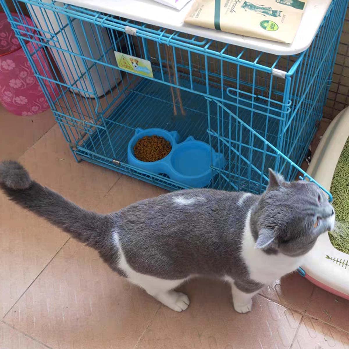 Cat Shaped Double Pet Food Bowl Non Slip Plastic Food and Water Feeder