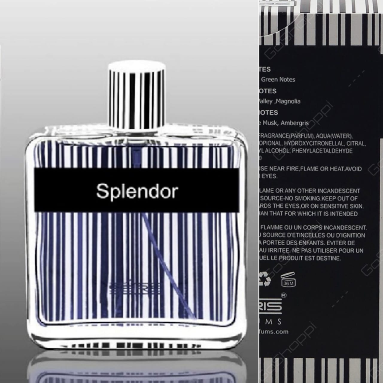 Splendor Perfume, Floral Oriental Fragrance for Unisex