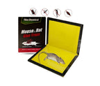 Non Toxic Folding Glue Boards for Mice Rats and Crawling Insects