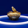Antique Golden Storage Box