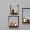 Rectangle Living Lounge Drawing Room Floating Organizer Shelve (Set of 3) - Special