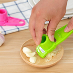 Garlic Press Grater