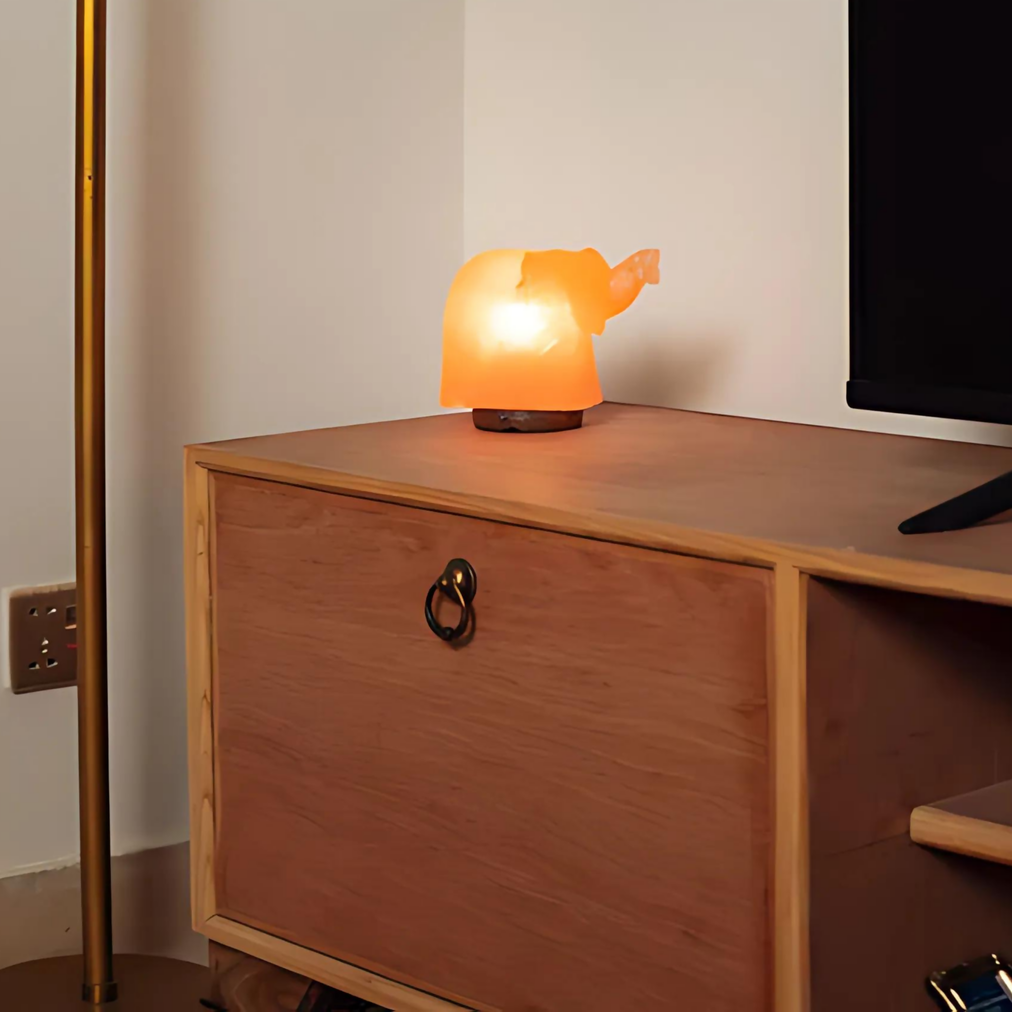 Himalayan Salt Dumbo Lamp
