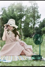 Rechargeable Green Desk Fan With Base & Foldable Design