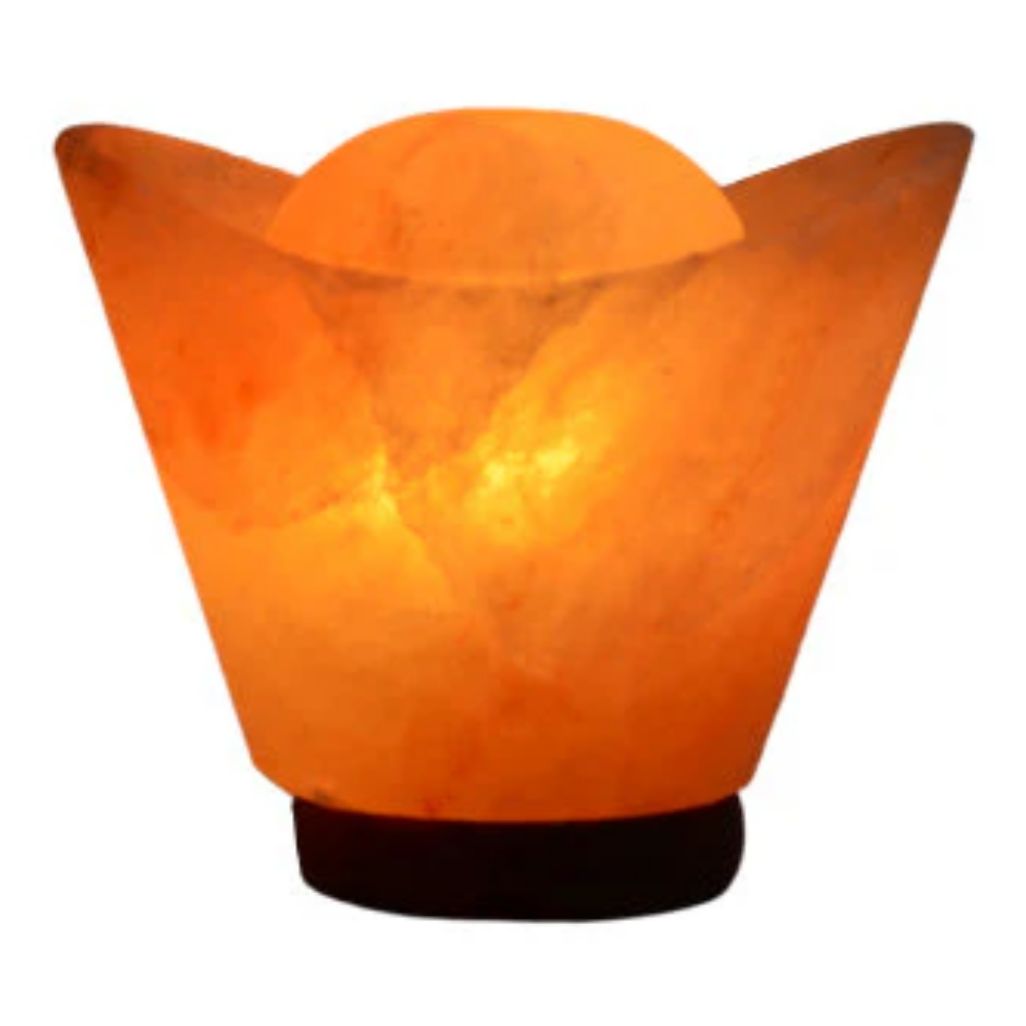 Himalayan Salt Aladin's Lamp 