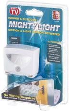 Indoor and Outdoor LED Motion and Light