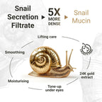 Gold Snail Eye Cream