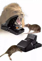 Durable Mouse Trap Pack Of 3 Reusable Rodent Catcher