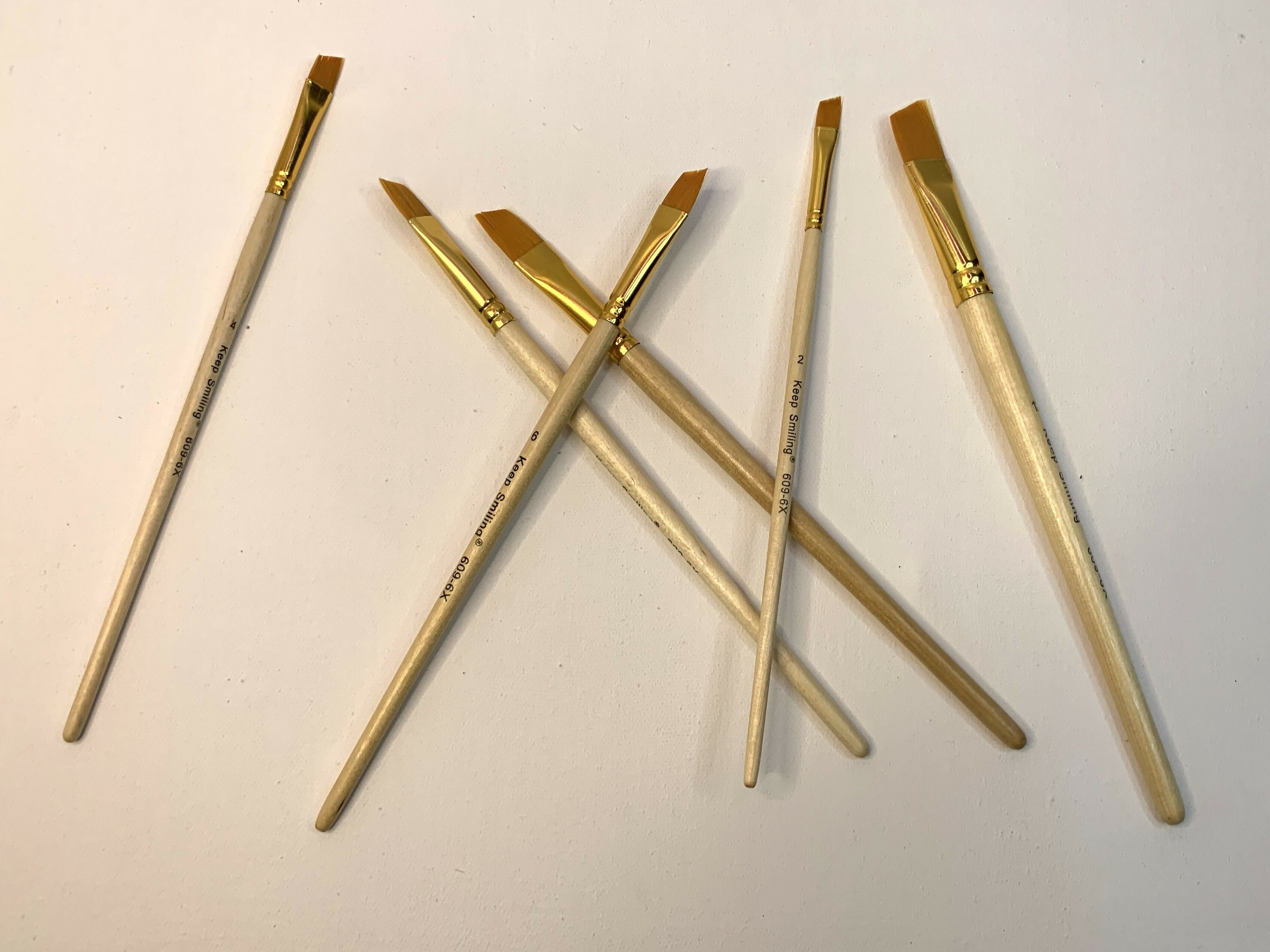 Pack of 6 Professional Angular Brush Set