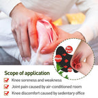 Herbal Knee Pain Relief Patch Heat Therapy For Joint And Muscle Comfort With Natural Ingredients (Pack of 10Pcs)