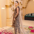 Semi-Stitched Net Dress