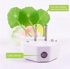 Mushroom Night Light, Dusk To Dawn Sensor LED Lamps For Kids Gifts