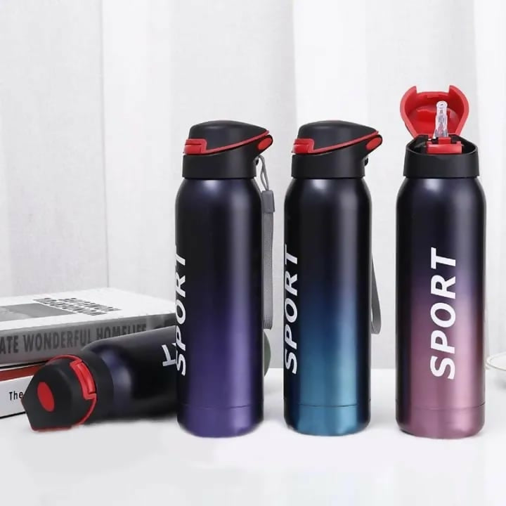 Stainless Steel Double Wall Vacuum Flask | 500 ml Sports Water Bottle | With Straw | Insulated