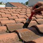 Hydra Agent Roof Guard Chemicals – Waterproofing & Anti-Leakage Sealant with brush (1kg)