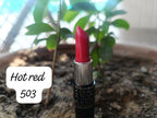 Glam Lipstick