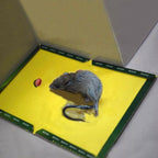 Reusable Expert Mouse & Rat Glue Trap