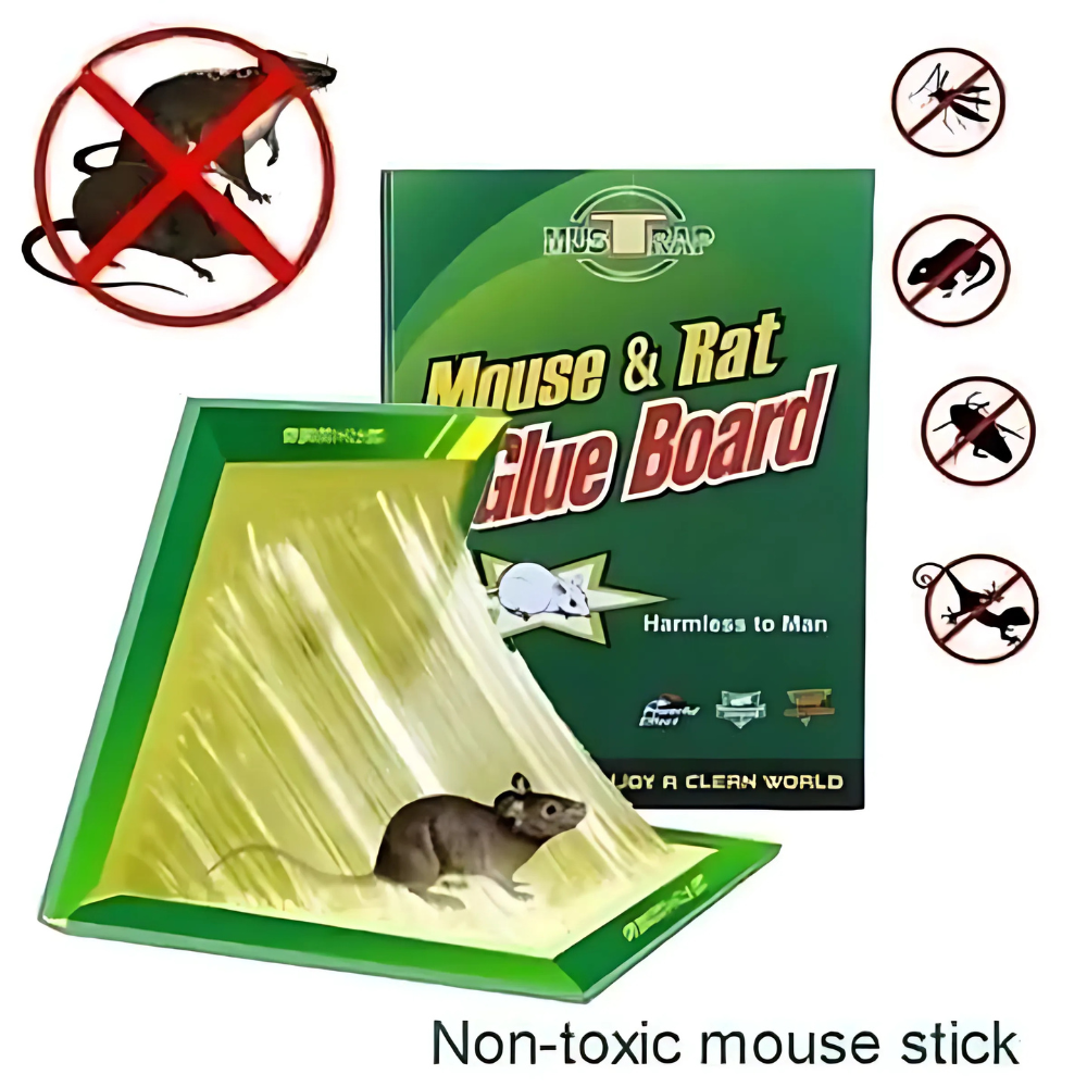 Non Toxic Folding Glue Boards for Mice Rats and Crawling Insects