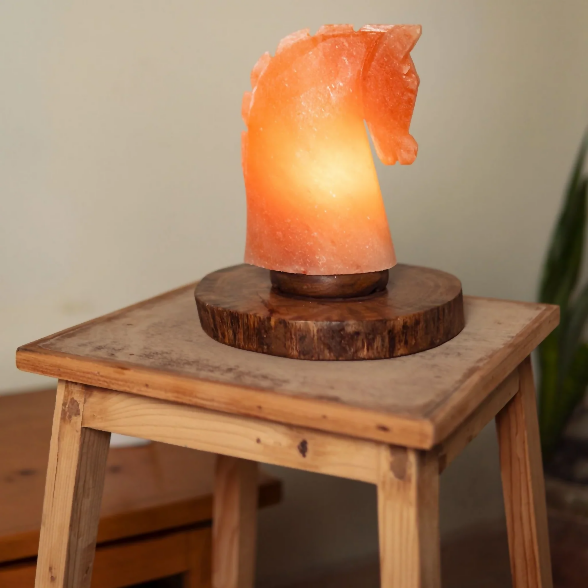 Himalayan Salt Mustang Lamp