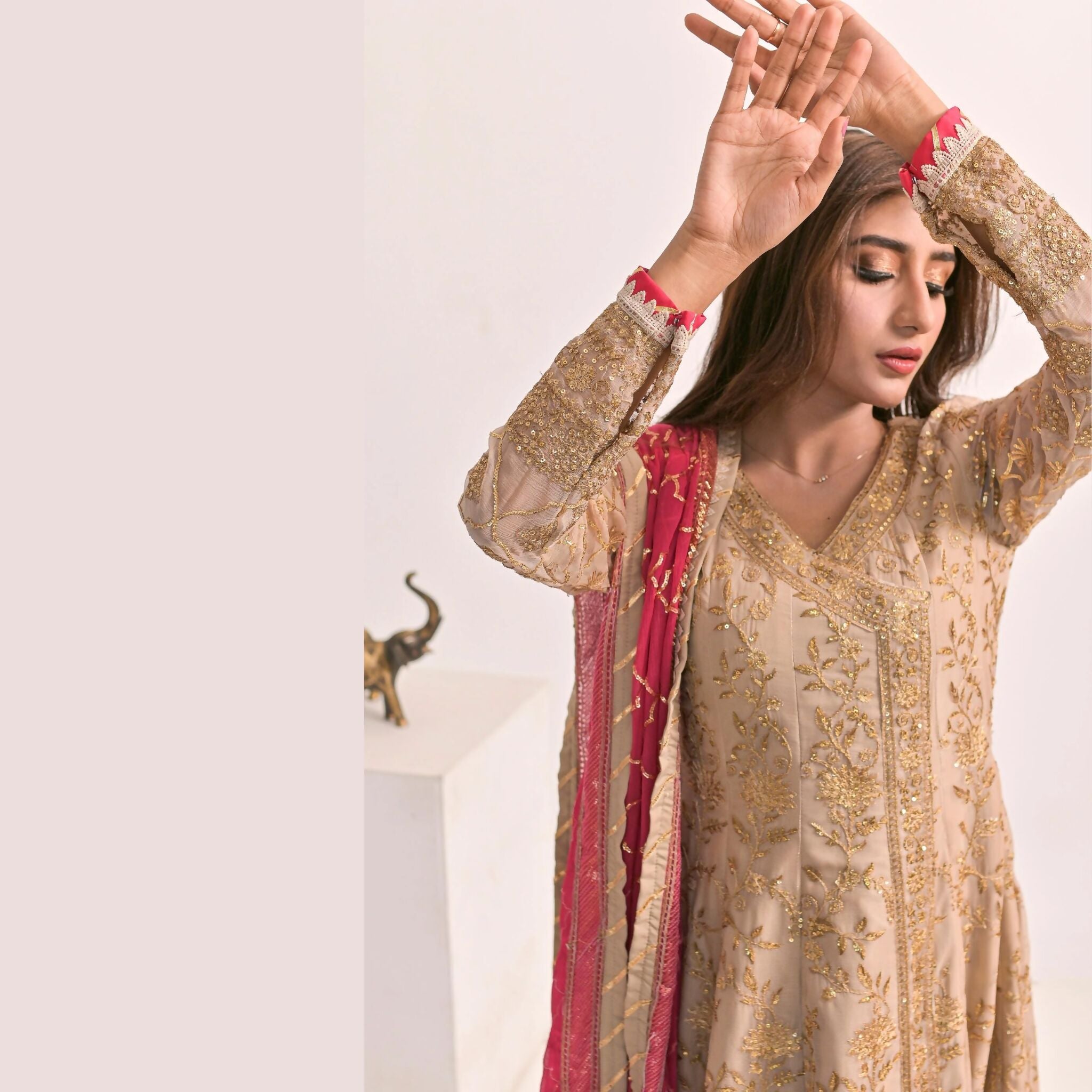 Dress Suit, Beige Chiffon Ensemble 3-Piece Set with Intricate Embroidery