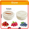 2-in-1 Drainer & Strainer Basket, Foldable Washing Bowl
