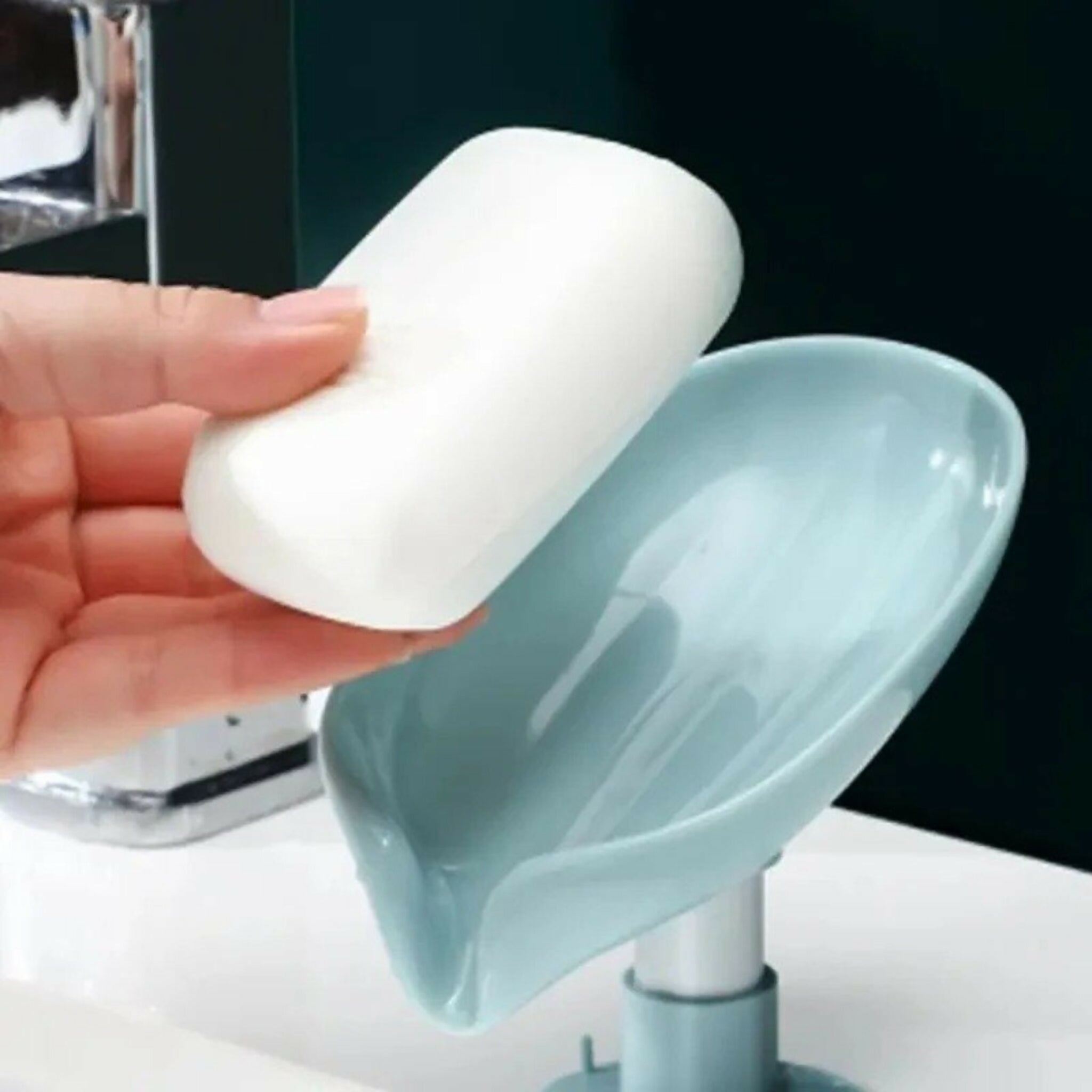 Draining Soap Holder