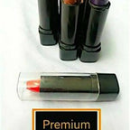 12 Pcs High Pigmented Matte Lipstick Set –