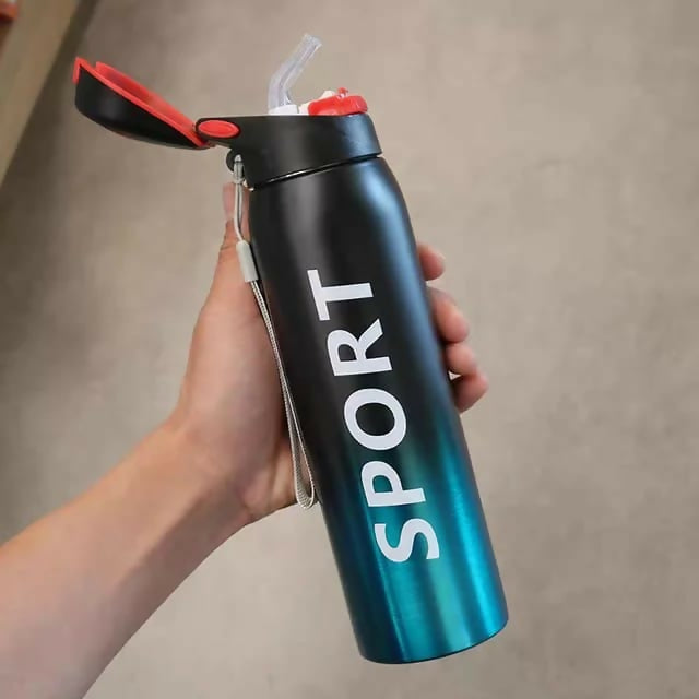 Stainless Steel Double Wall Vacuum Flask | 500 ml Sports Water Bottle | With Straw | Insulated
