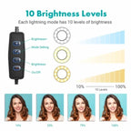 6-Inch Multi-Position Fill Light | Selfie Ring Light with Tripod Stand & Phone Holder | 3 Color Modes | USB Powered | Multicolor