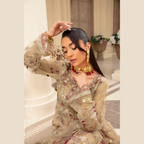 Semi Stitched Ensemble