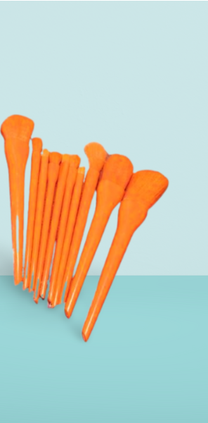 10 Pcs Professional Makeup Brush Set – Face, Eyes &amp; Lips | Concealer, Blush, Eyeshadow, Highlighter | Orange &amp; Green Colors