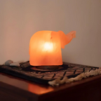 Himalayan Salt Dumbo Lamp