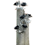 Beautiful Tri-corn Wood Vase