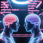2-in-1 Brain Development Training Kit