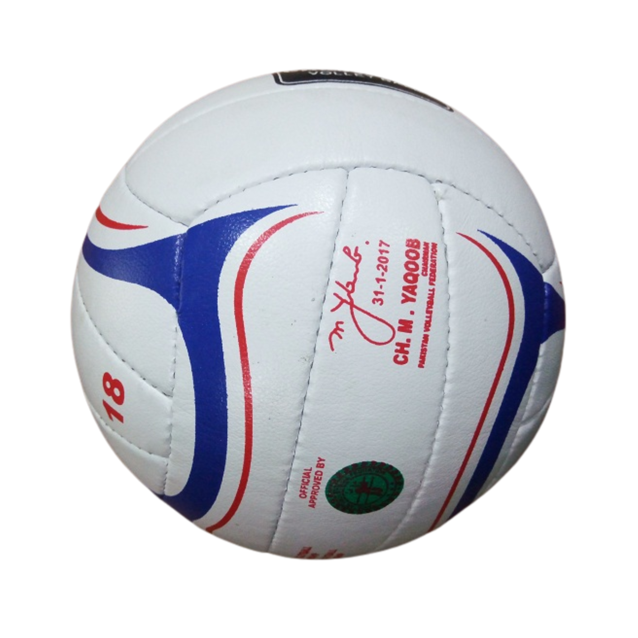 Volleyball, Super Quality & Hand Stitched, for Sport Team