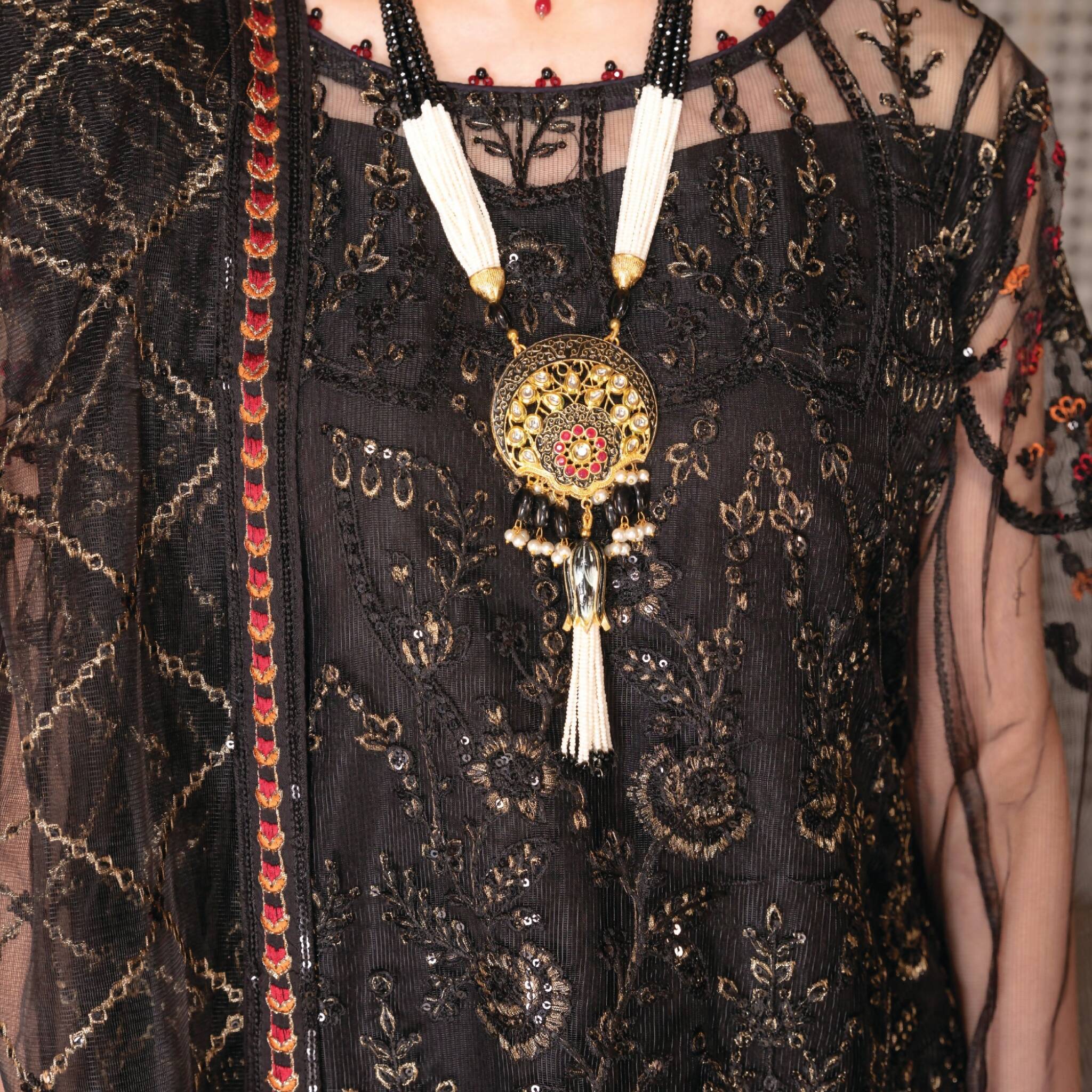 Semi-Stitched Net Ensemble 