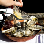 Lemon Juicer, Stylish & Functional, for Your Kitchen