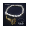 Tasbeeh, Fancy Camel Bone with 33 Beads