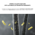 Hair Perfume Oil, Lasting Softness, No Grease, All Hair Types