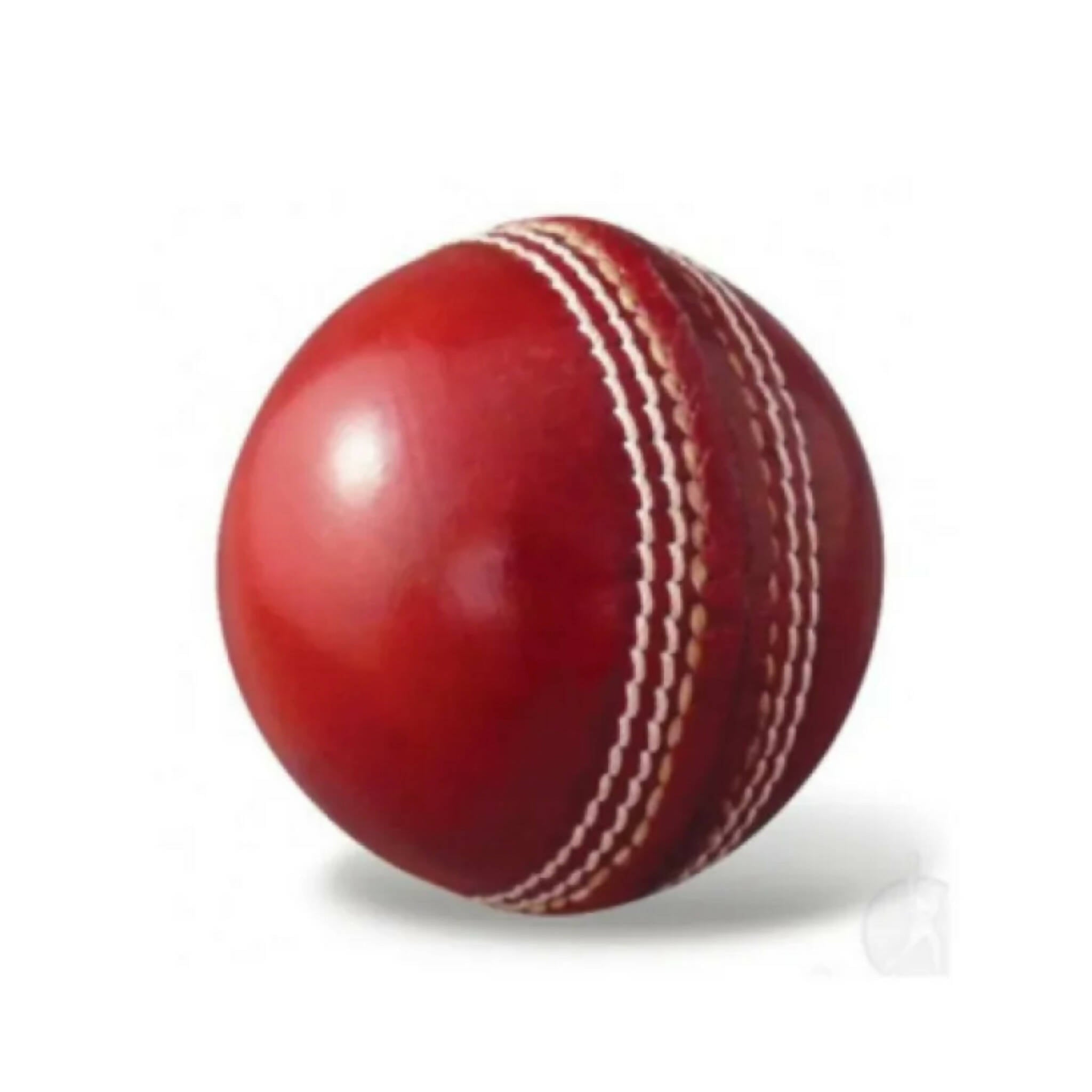 Cricket Practice Ball, Soft & Play Anywhere, Anytime, for All Ages