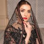 Semi-Stitched Net Ensemble 