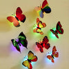 Pack of 4 Butterfly LED Lights Stickers| Battery Operated | Multi-Color