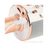 Microphone Speaker, High-Quality Karaoke with Bluetooth Wireless
